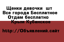 Щенки девочки 4шт - Все города Бесплатное » Отдам бесплатно   . Крым,Кубанское